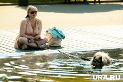 В теплые дни важно создать прохладное укрытие для животного, но часто питомцы сами выбирают себе такую локацию