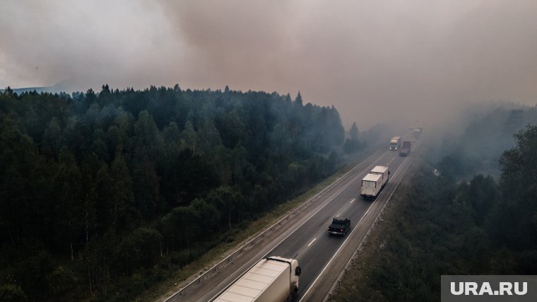 Вопрос с изъятием лесных участков решается на федеральном уровне