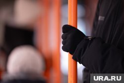 Тематические автобусы начали курсировать в марте 