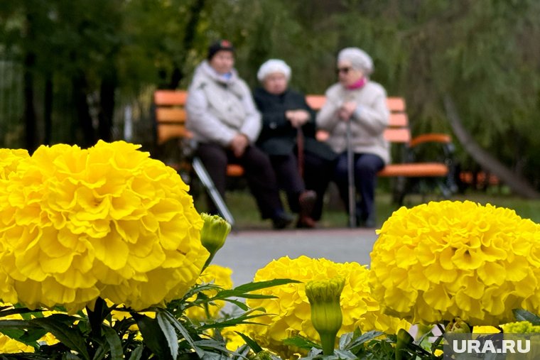 За каждый год назначается фиксированный пенсионный коэффициент