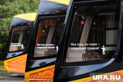 Силовиков и волонтеров отправили патрулировать трамваи