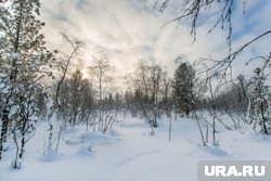 Женщину нашли спасатели через сутки после пропажи