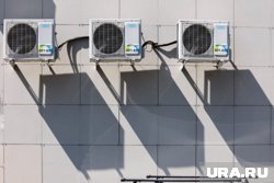 В некоторых магазинах очередь доходит до середины июня 