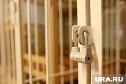 Смолову грозит до пяти лет лишения свободы