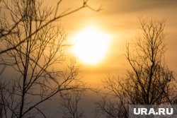 В ноябре будет несколько дней с повышенной геомагнитной активностью