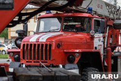 Поводов для паники нет. В учебном заведении проходят пожарно-тактические занятия.