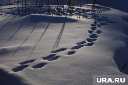 Желающим помочь рекомендовали одеться для поисков в условиях городской местности