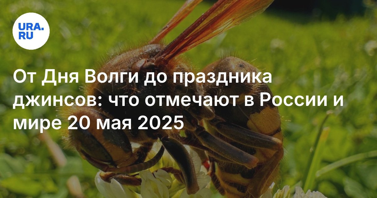 Какой праздник отмечают 20 мая 2025: российский, международный, православный, народный