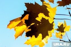 На Ямале в субботу синоптики обещают сухую погоду