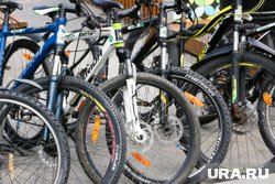 За год длина велодорожек увеличилась на 40%