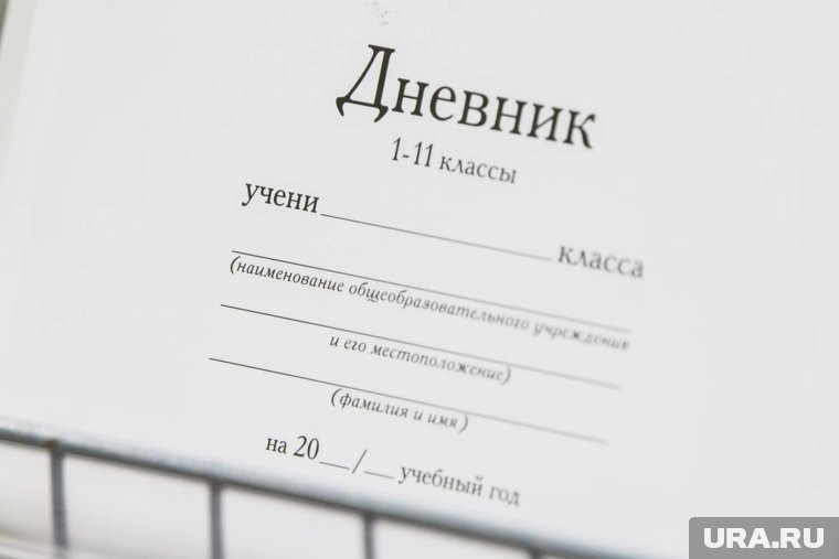 Система  «Сетевой город» постоянно развивается и совершенствуется