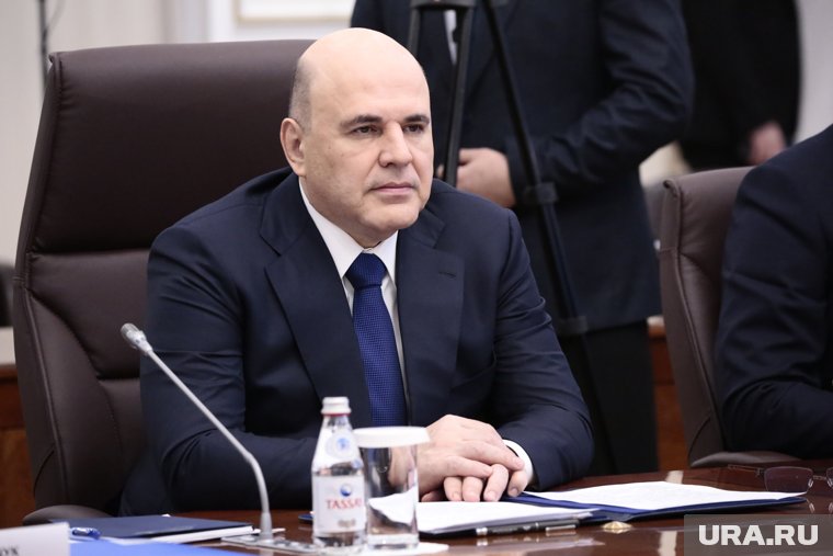 Мишустин назначил Ирину Тарасову гендиректором «Российского экологического оператора»