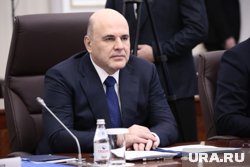 Мишустин назначил Ирину Тарасову гендиректором «Российского экологического оператора»