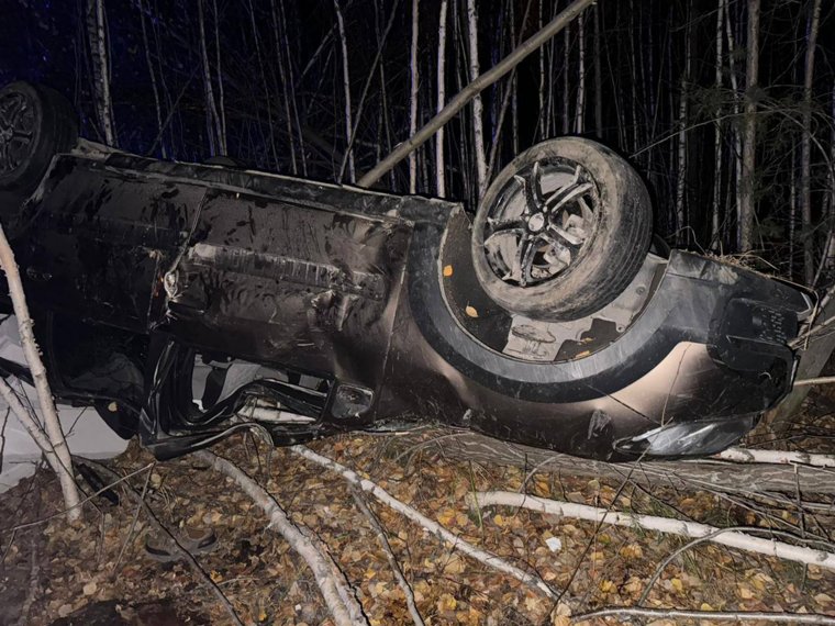 Водитель скончался от полученных травм до приезда медиков