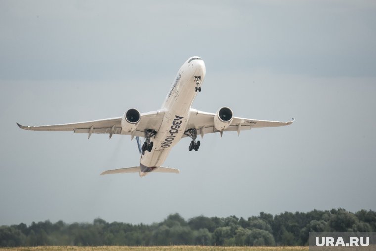 Авиакомпании РФ приостановили полеты 34 самолетов Airbus A320/A321neo