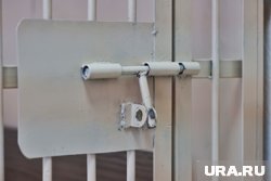 Женщине розит уголовное наказание в виде штрафа до 500 тысяч рублей, или принудительные работ до трех лет, либо лишение свободы на тот же срок