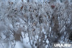 Температура воздуха опустится в Челябинской области до 8 градусов мороза