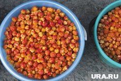 За литр морошки продавцы просят до 1,7 тысячи рублей 