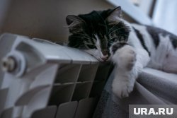 К отопление по Курганской области подключены практически 100% социальных объектов