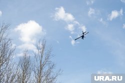 Посадку самолета Tecnam в Подмосковье официально признали аварией