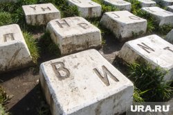 Летом клавиши красиво обрамляет трава 