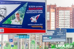 Выборы пройдут 12-14 сентября