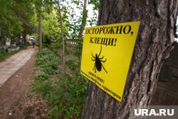 С начала года пять тюменцев заболели клещевым энцефалитом
