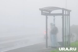 Туман ожидается утром в Прикамье