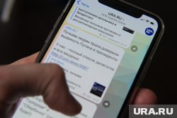 Курганские VIP рассказали, где обсуждают важные дела и планируют ли переходить в нацмессенджер Max