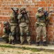 Украинские власти начали сбегать из городов ДНР: главное о СВО за 3 августа