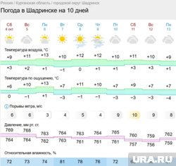 В Шадринске будет в основном пасмурно, в отдельные дни - туманно