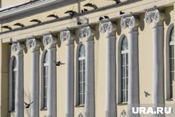 Такое решение приняли власти