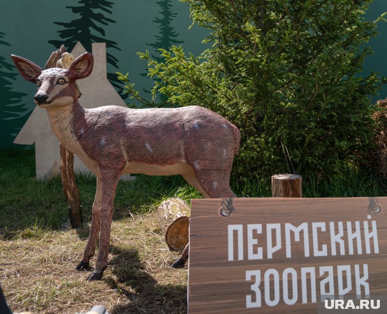 Зоопарк ищет биологов и зоологов для проведения экскурсий