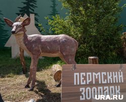 Зоопарк ищет биологов и зоологов для проведения экскурсий