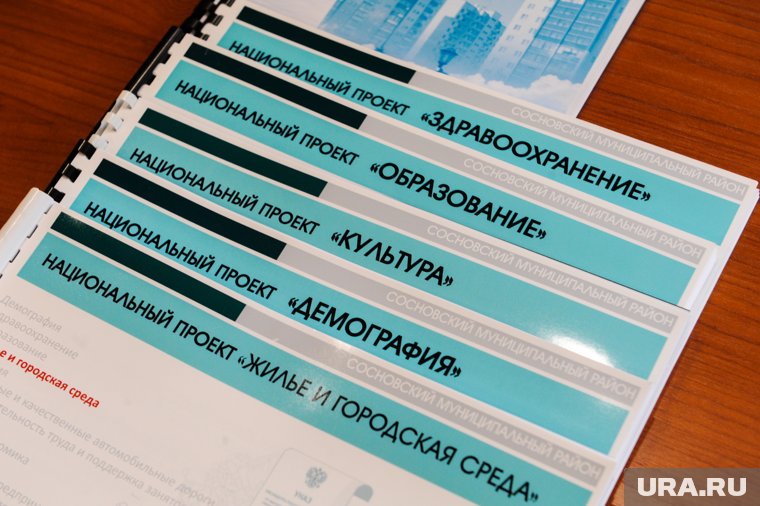 К реализации нацпроектов есть вопросы, отметил Путин