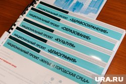 К реализации нацпроектов есть вопросы, отметил Путин