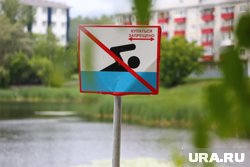 Не стоит купаться в стоячих водоемах, чтобы не заразиться церкариозом