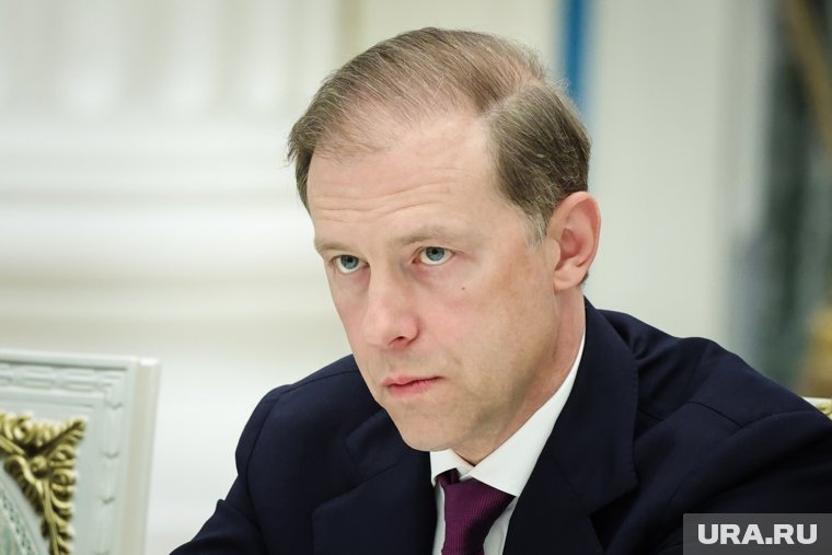 Путин попросил Мантурова внимательнее подходить к своей работе