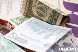 Украина рассматривает возможность сделать евро базовой валютой