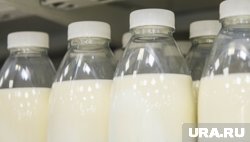 Разработка пермяка позволяет превращать отходы в протеиновую смесь для спортивного питания