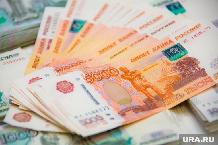 Директор и бухгалтер компании скрыли от налоговой миллионы рублей