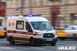 Ребенок сорвался с декоративной конструкции в парке, его увезли в больницу
