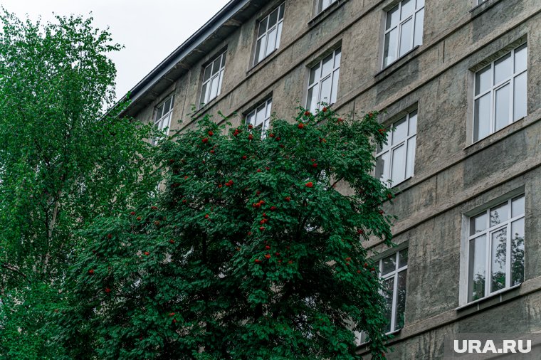 Погибшим оказался мужчина