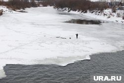 Рыбаки сообщают, что толщина льда доходит до семи сантиметров