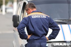 Всего на слет съехались 250 добровольцев (архивное фото)