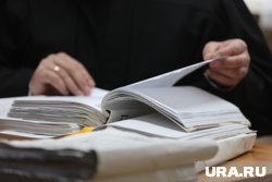 Осужденный вместе с экс-замглавы Шадринска бизнесмен подал жалобу на приговор
