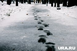 После теплых выходных в Москве и Санкт-Петербурге грядут заморозки