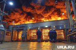 В Подмосковье ликвидирован крупный пожар