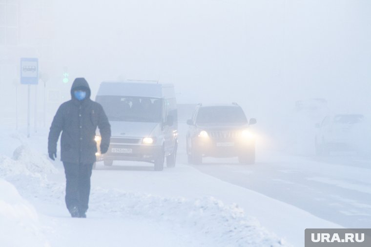 Ночью 11 января в Курганской области наблюдается туман