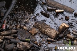 Разлив нефти обнаружили в лесу между Нижневартовском и Радужным